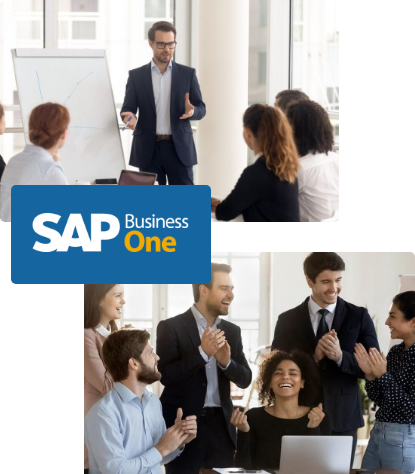 Equipo Sap Business One
