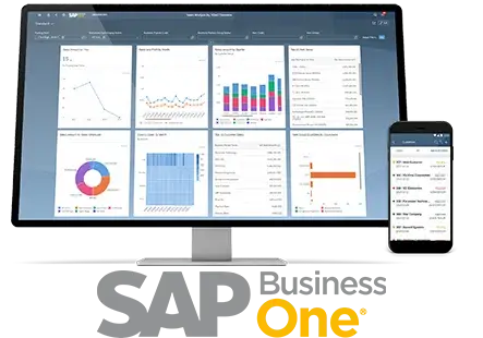 ¿Qué es SAP business one?